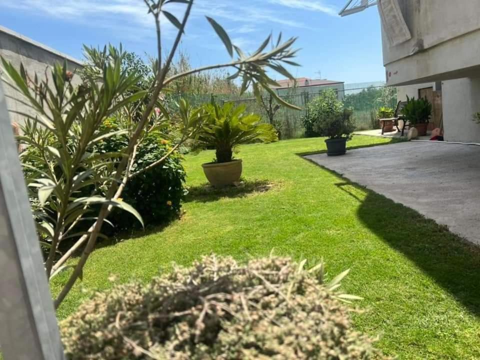 Casa Vacanze Federica Villa Cagliari Dış mekan fotoğraf